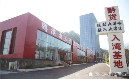 稳商贸 畅流通 促消费 黔南在释放消费潜力上奋力攻坚