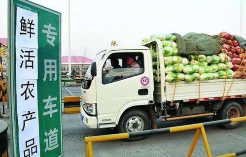 为啥你的发动机老出问题,可能是 喝 了劣质防冻液