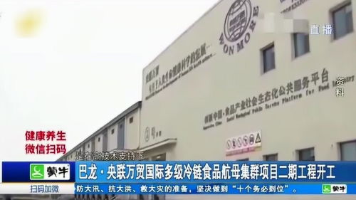 好消息 巴龙 央联万贸国际多级冷链食品航母集群项目二期工程开工