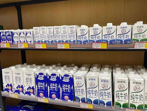试营业 泰达首家郑欧班列进口商品店来了