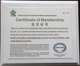 山东中农联合公司全资子公司荣获 2012中国农药行业市场
