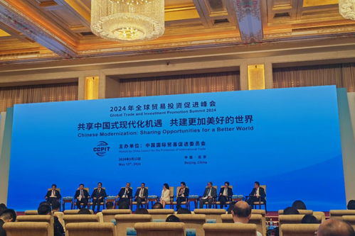 新华全媒 深化互信合作 携手共创未来 来自2024年全球贸易投资促进峰会的观察